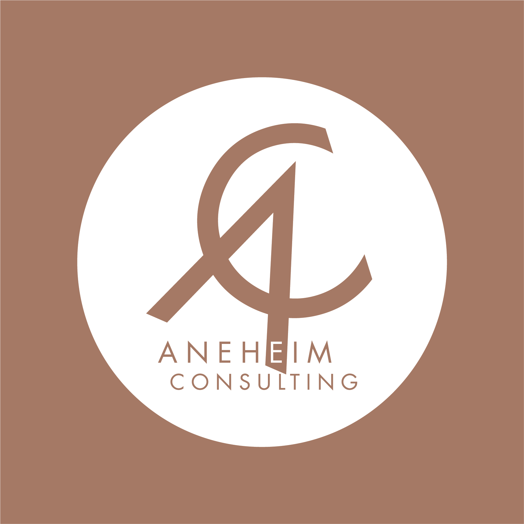 Aneheim Consulting AB