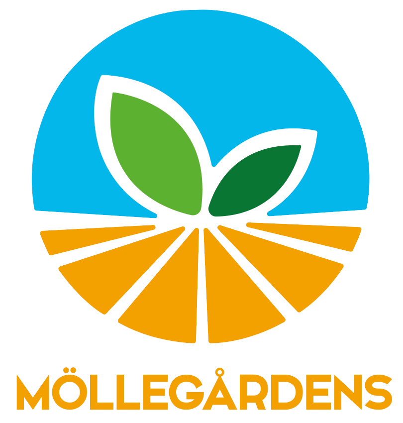 Möllegårdens morötter AB