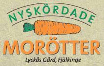 Nyskördade morötter i Fjälkinge AB