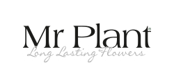 Mr Plant Ab